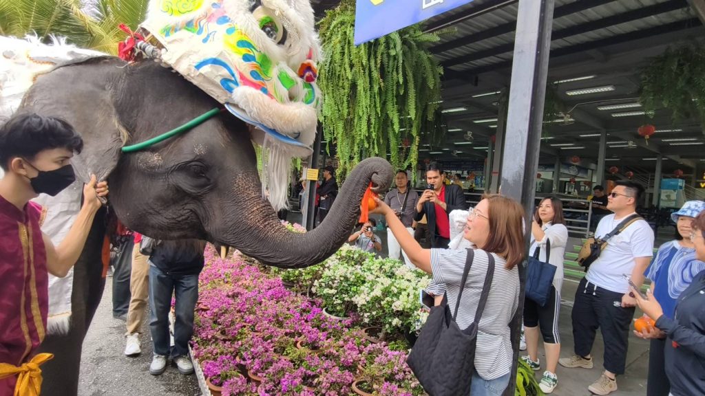 1737963473608-1024x576 @ชมคลิป"สวนนงนุชพัทยา จัดใหญ่เทศกาลตรุษจีน จัดเต็มขบวนคาร์นิวัลช้างเชิดสิงโต อวยพรให้นักท่องเที่ยว