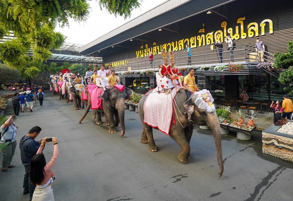 IMG_0756-1024x703 สวนนงนุชพัทยาจัดโปรใหญ่เดือนแห่งความรัก ผู้ที่เกิดเดือนกุมภาพันธ์ เข้าฟรีทั้งเดือน  (มีคลิป)