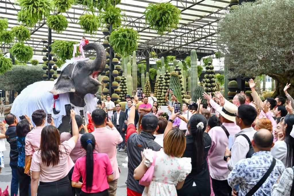 1000033127-1024x683 สวนนงนุชพัทยาจัดจดทะเบียนบนหลังช้าง ฉลองสมรสเท่าเทียม คู่รัก LGBTQ+ แห่ร่วมคึกคัก