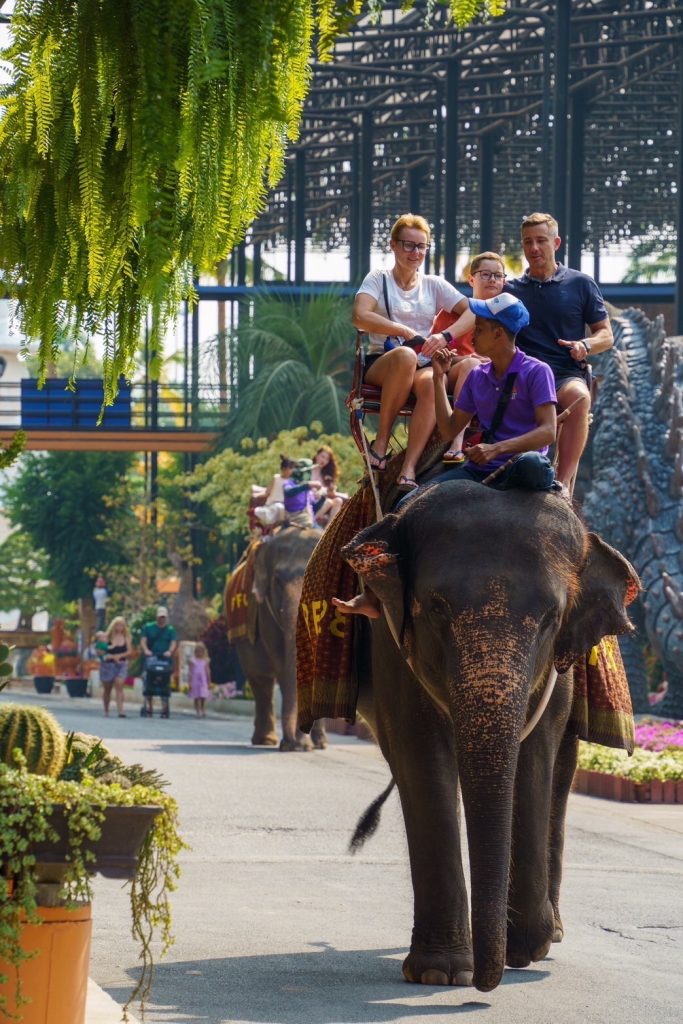 1000036792-683x1024 .สวนนงนุชพัทยา จัดโปรโมชั่นเข้าสวนฟรีทั้งเดือนสำหรับใครที่เกิดเดือนมีนาคม