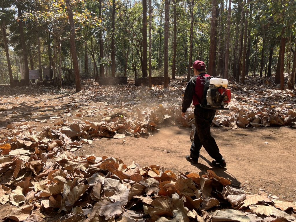 1000014032-1024x768 ให้ขออนุญาตจัดการเชื้อเพลิง