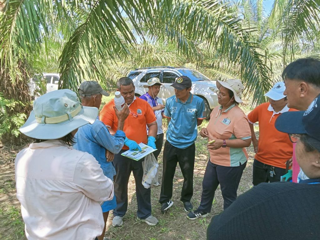 1741332039441-1024x768 เกษตรจังหวัดสุราษฎร์ธานี ส่งเจ้าหน้าที่กลุ่มอารักขาพืชลงพื้นที่การระบาดของหนอนหน้าแมวหลังพบแล้วใน 6 อำเภอของสุราษฎร์ธานีกว่าพันไร่เพื่อสร้างความเข้าใจให้กับเกษตรกรในการดูแลและป้องกันการระบาดเพิ่ม