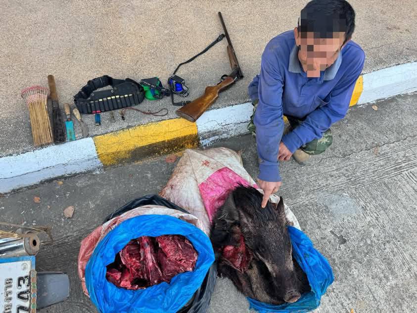 1741768308187 -อุทยานแห่งชาติดอยหลวง จับกุมพรานป่าพร้อมของกลาง ซากหมูป่า อาวุธปืนลูกซอง ในเขตอุทยานฯ