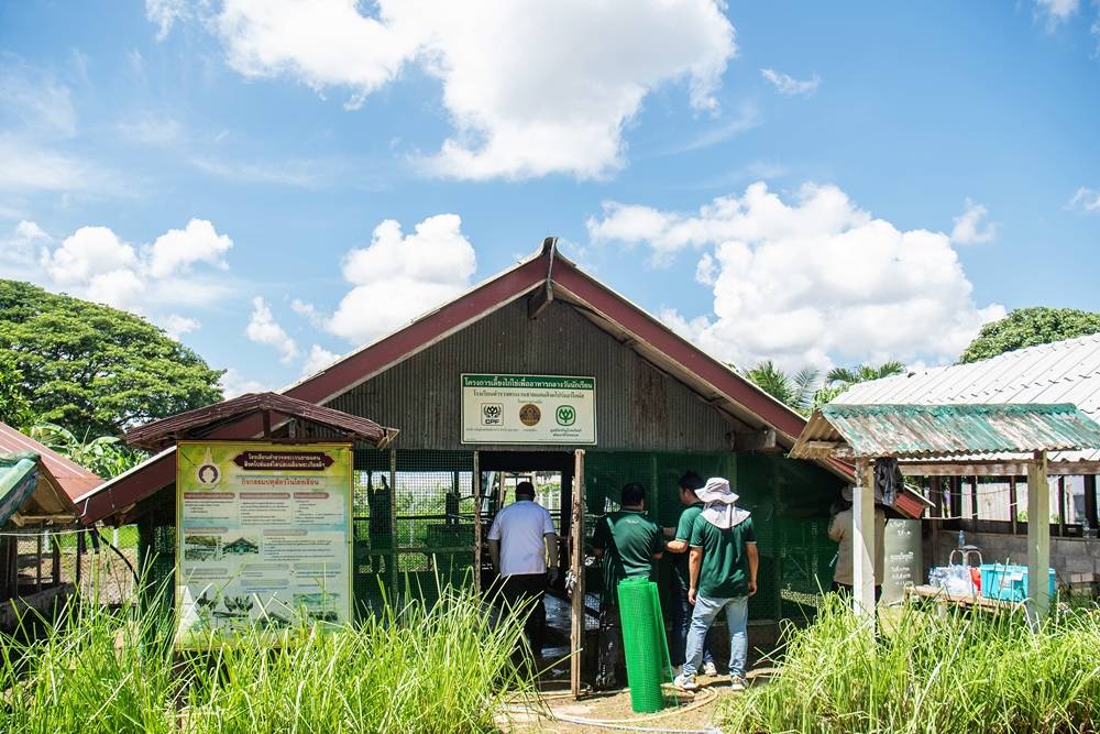 1748845190001 “คลีนเล้าด้วยใจ ปันไข่ให้น้อง” เมื่อ “ไข่ไก่” ไม่ใช่แค่อาหาร แต่คือพลังใจของเด็กๆ มูลนิธิซีพี ร่วมกับ ซีพีเอฟ เดินหน้าเติมโภชนาการให้น้องๆ ทั่วไทย ผ่าน “โครงการเลี้ยงไก่ไข่เพื่ออาหารกลางวันนักเรียน” ที่เริ่มมาตั้งแต่ปี 2532