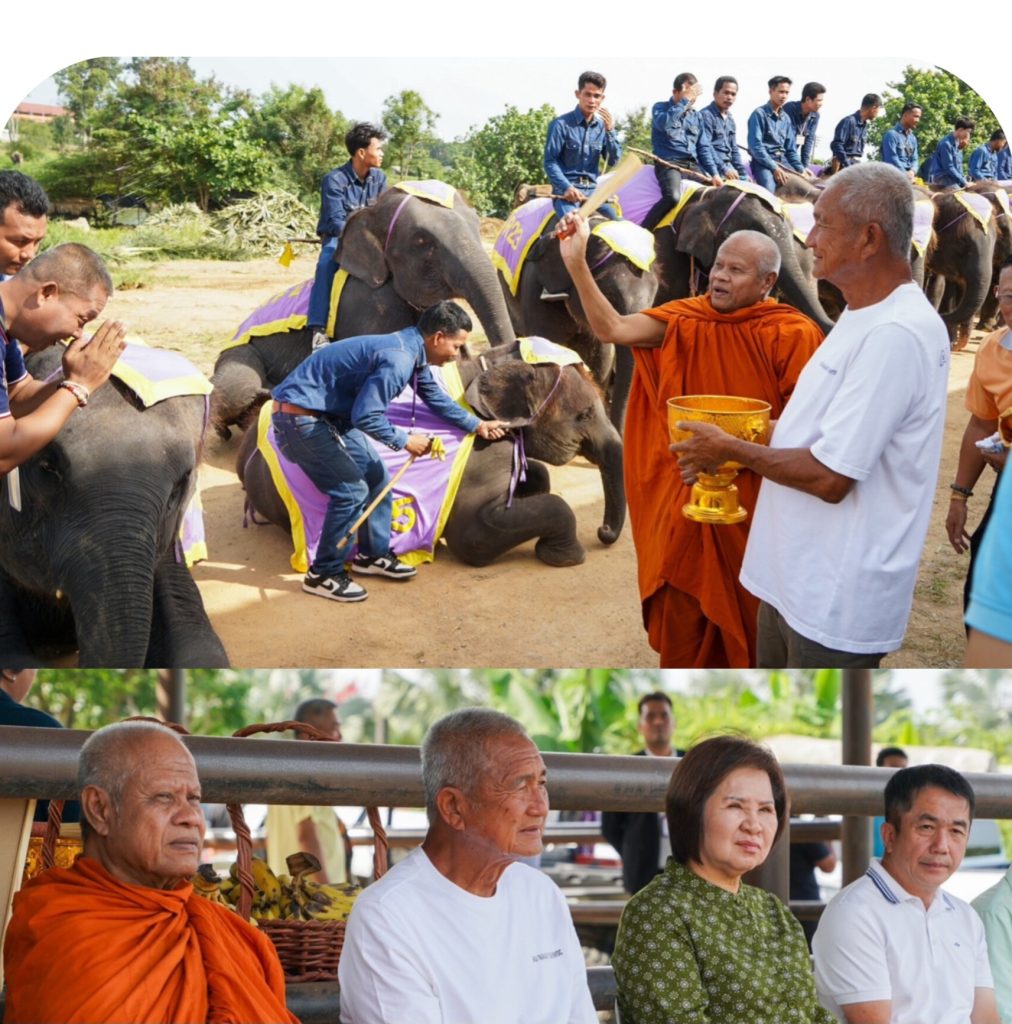 InShot_20250604_152332375-1012x1024 รายการทั่วไทย by โกดำวันนี้บุกมาที่สวนนงนุช พัทยา จะพามาชมการตกลูกเชือกที่6ของพังน้องพรแม่ช้างพันธุ์แชมป์!