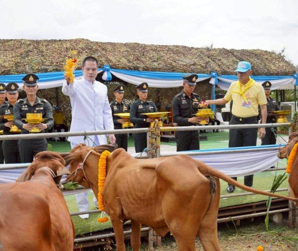 1754631280935-1024x861 มูลนิธิพุทธภูมิธรรม ร่วมกับ กองทัพภาคที่ 1 กองทัพบก ไถ่ชีวิตโค-กระบือ ถวายเป็นพระราชกุศลสมเด็จพระนางเจ้าสิริกิติ์ พระบรมราชินีนาถ พระบรมราชชนนีพันปีหลวง และเป็นมหากุศลให้แผ่นดินไทย