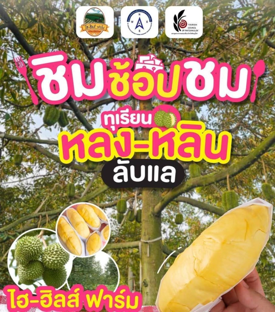 1779344830226-905x1024 #ข่าวดีคอทุเรียน,สวนไฮฮิลล์ฟาร์มบ้านรักไทย เปิดสวน ชิม ช็อป ชม ทุเรียน เกรดพรีเมี่ยม หลง หลิน ลับแล ไฮฮิลล์ฟาร์ม บ้านรักไทย